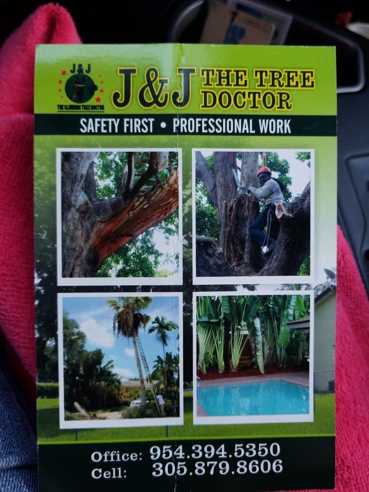 J & J The Tree Doctor