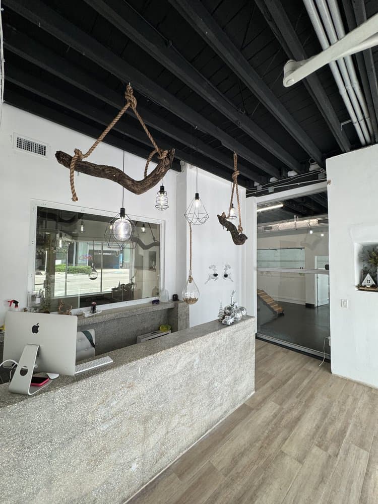 Paws & Tails Dog Daycare