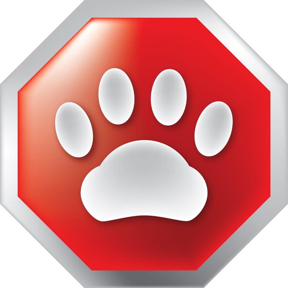 Pet Stop Of Northeast Florida