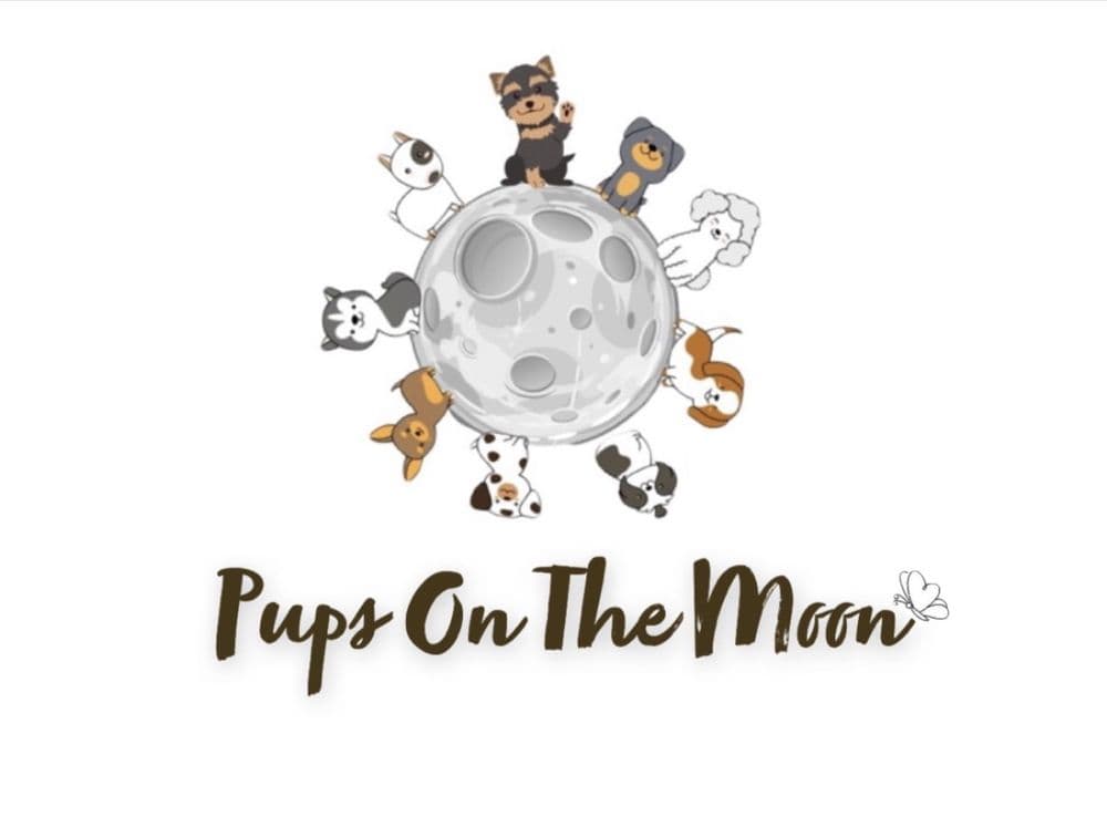 Pups On The Moon