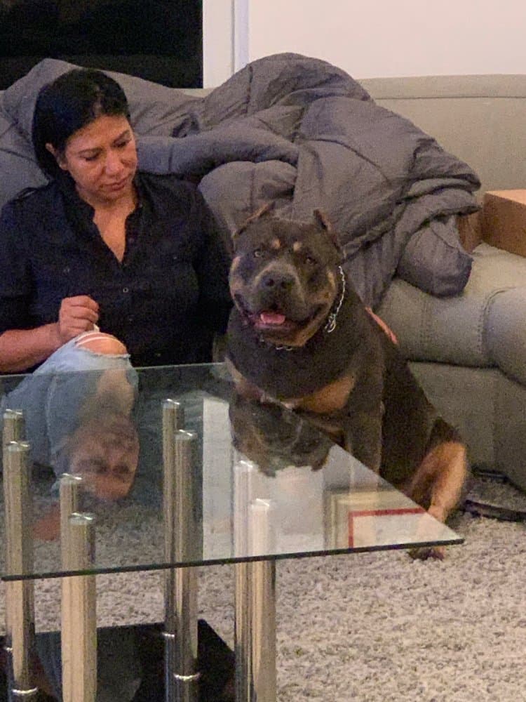 Furever Pawz Pet Service