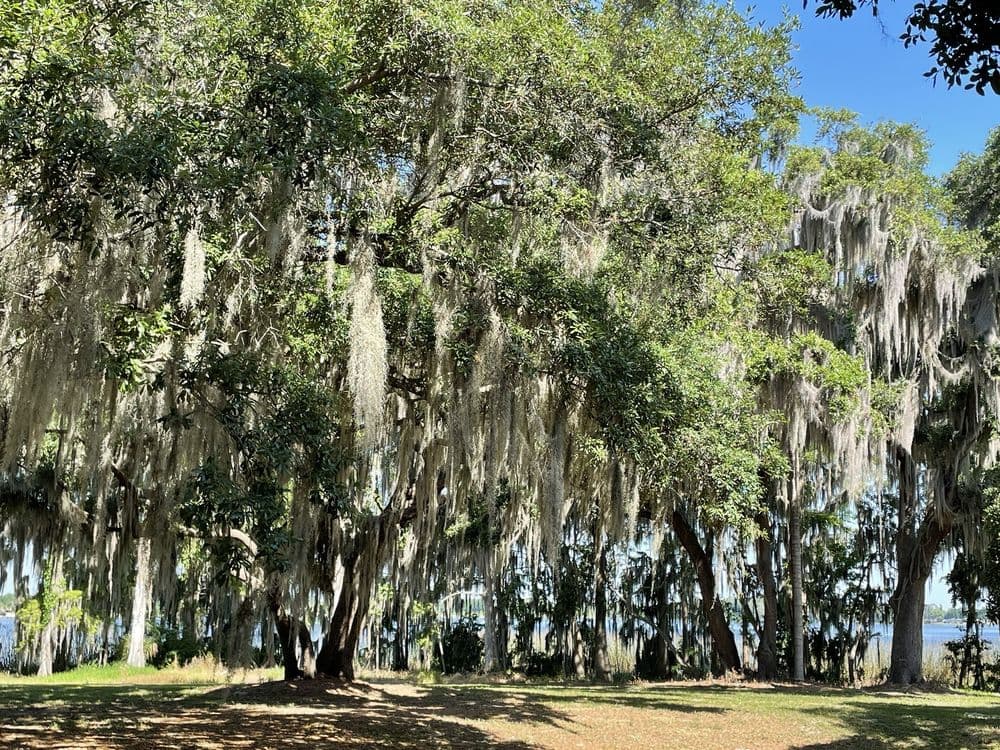 Clear Lake Park