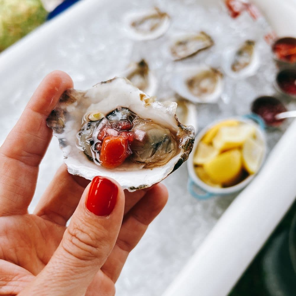 SeaSalt Oyster