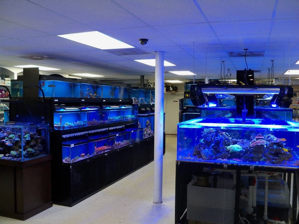Creative Aquariums Of Tampa