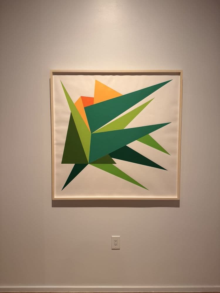 LNS Gallery