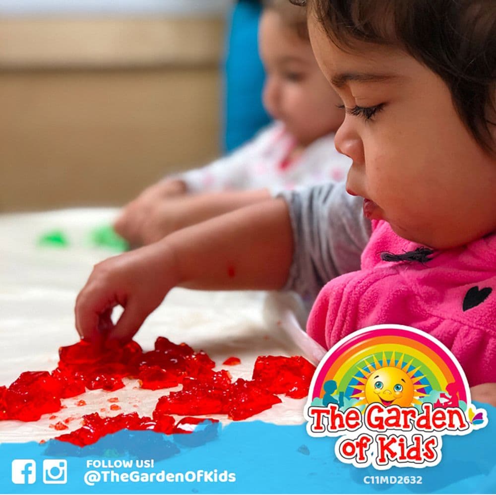 The Garden Of Kids