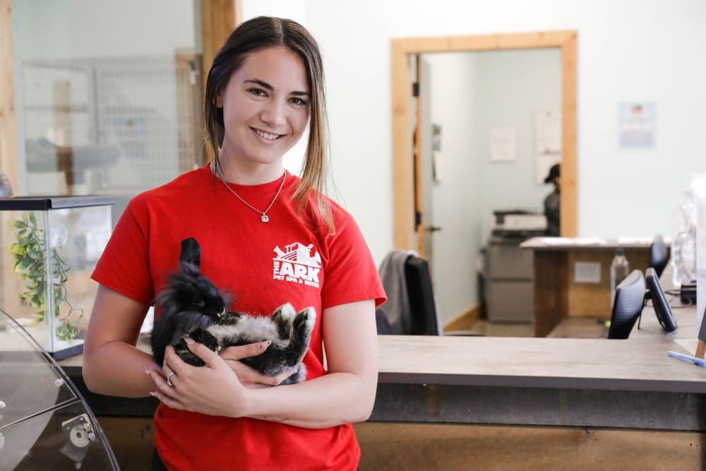 The Ark Pet Spa & Hotel