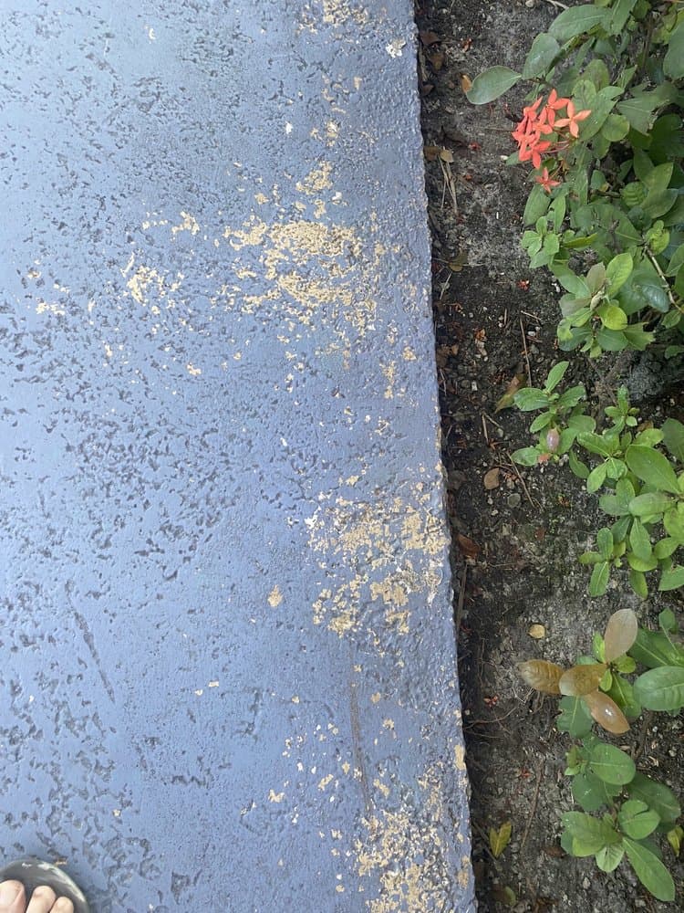 Sepi Painting & Waterproofing