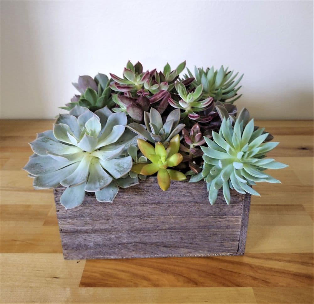 Crown Floral and Foliage Design