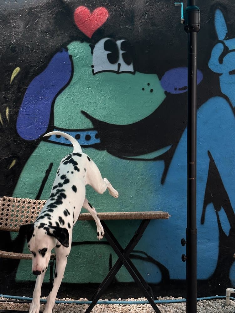 Fifi's Urban Dogs
