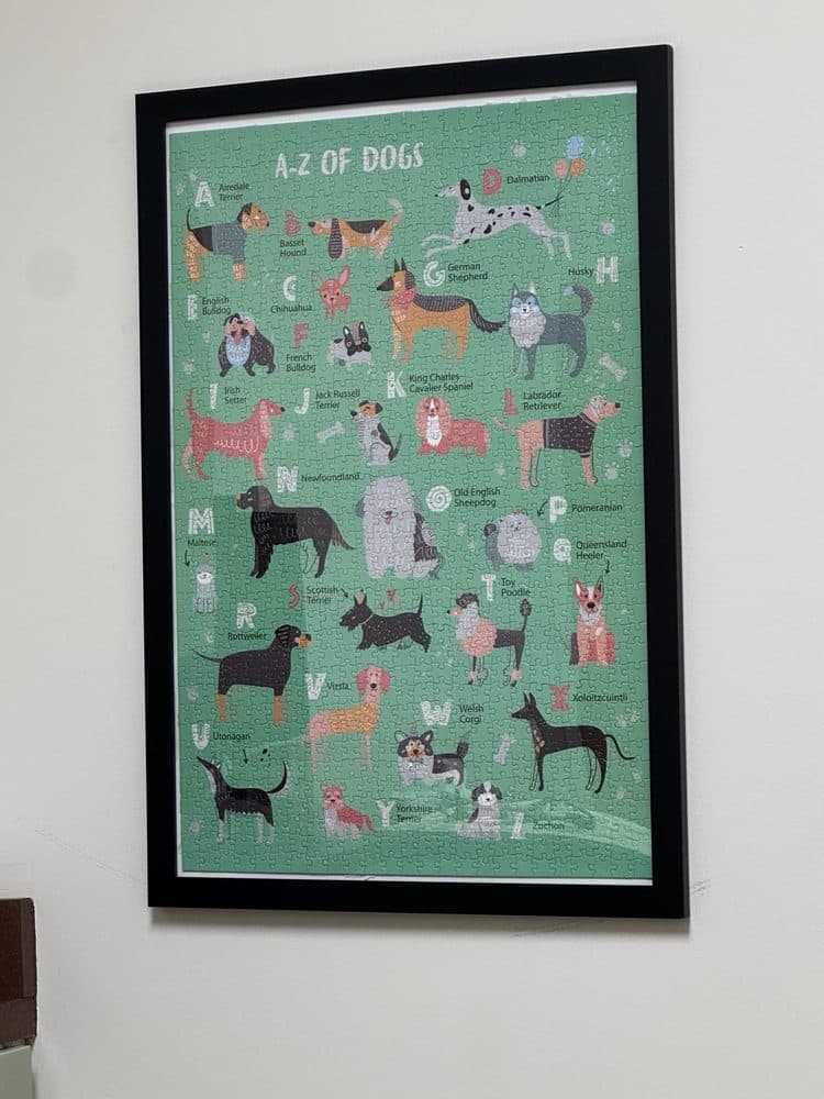 Hyde Park Veterinary Clinic