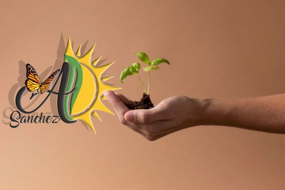 A Sanchez Landscaping