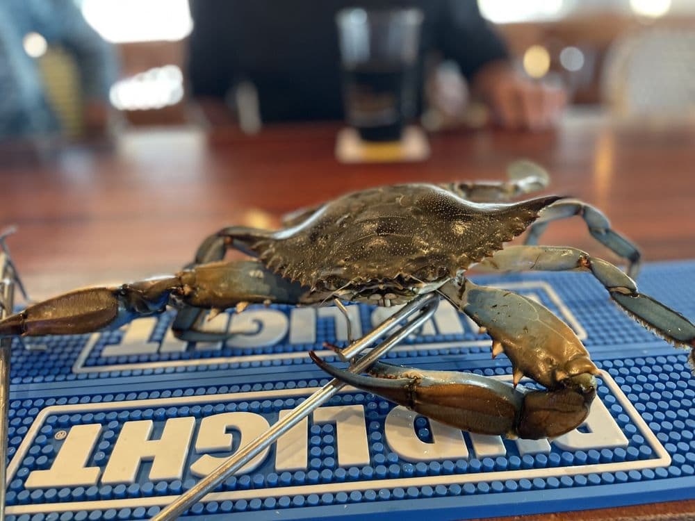 Crabby's Oyster Bar