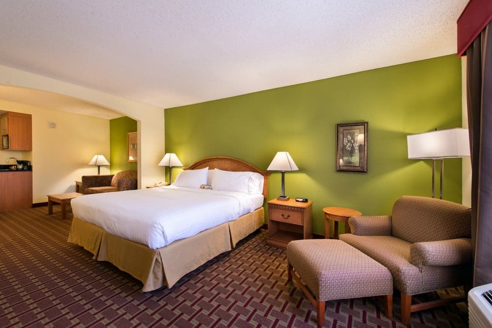 Holiday Inn Express & Suites Tampa-Anderson Rd/Veterans Exp