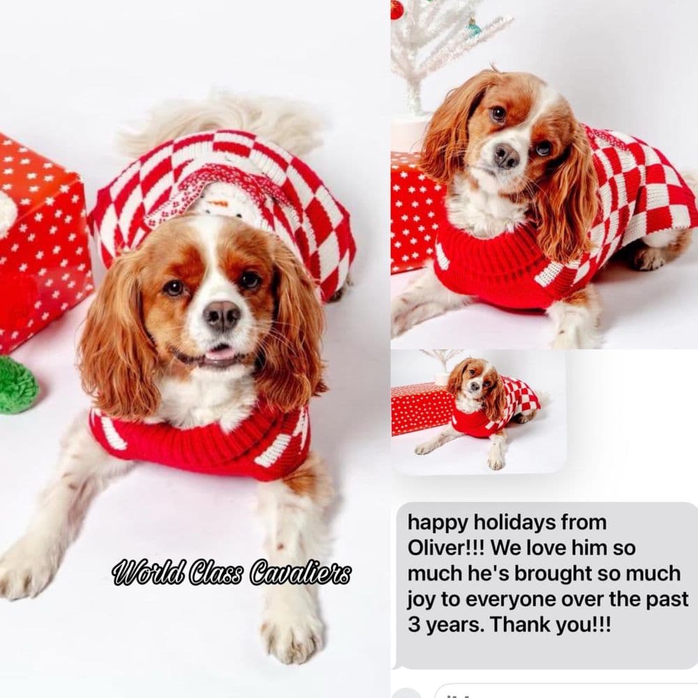 World Class Cavaliers
