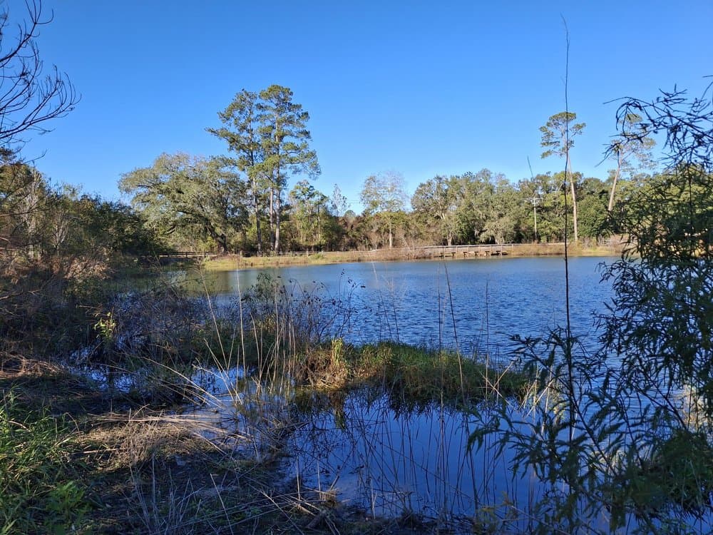 Pedrick Pond Park