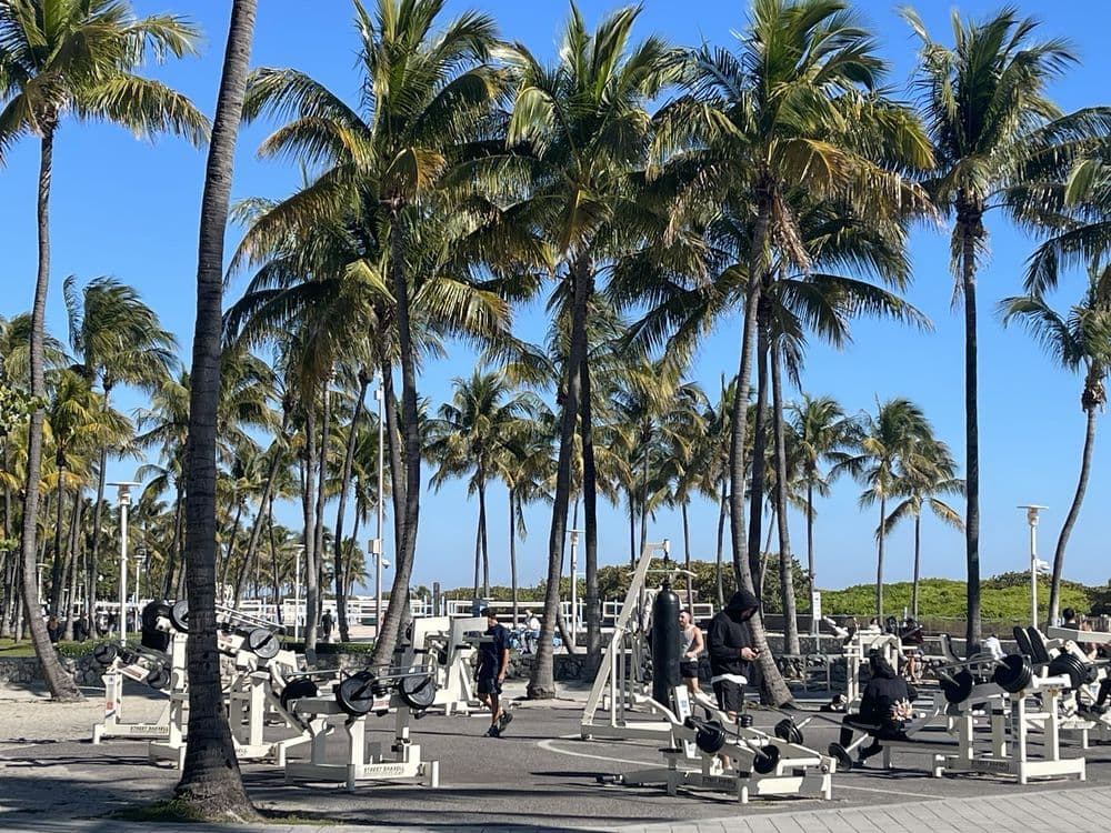 Street Barbell