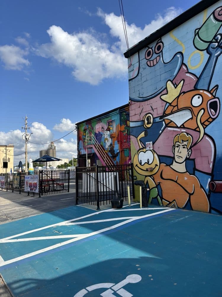Toon Town Pickleball