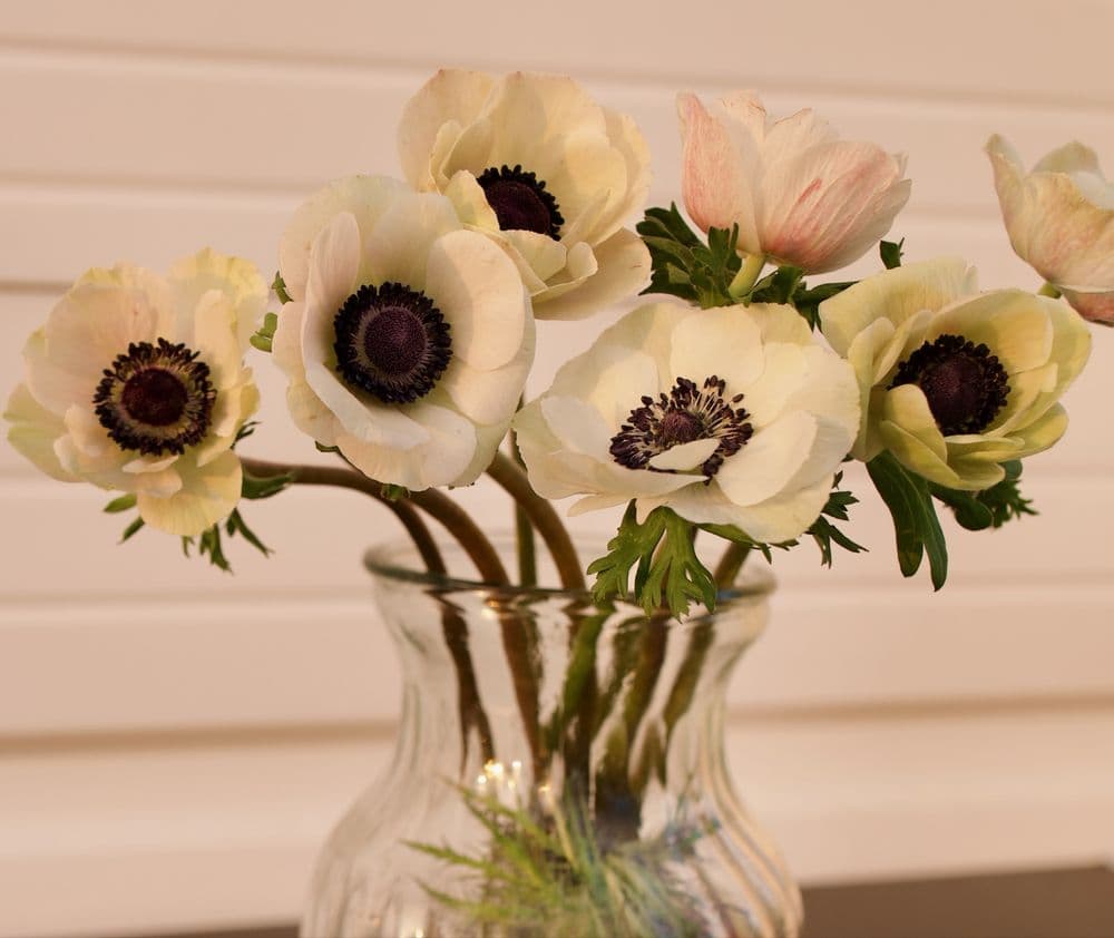 Mad About Flowers