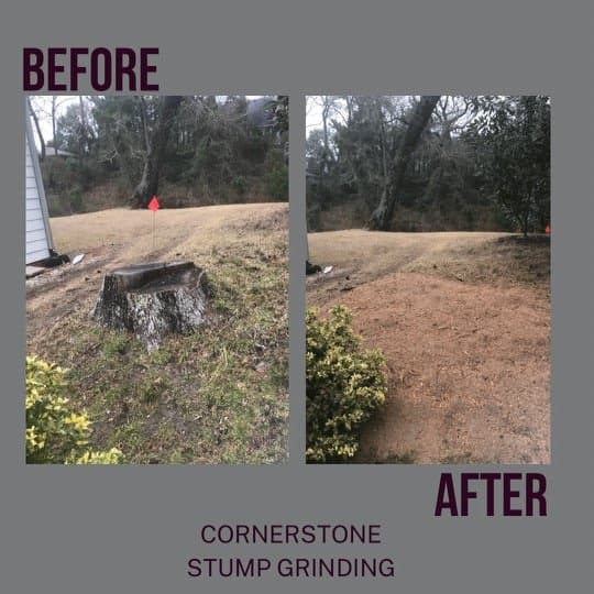 Cornerstone Stump Grinding