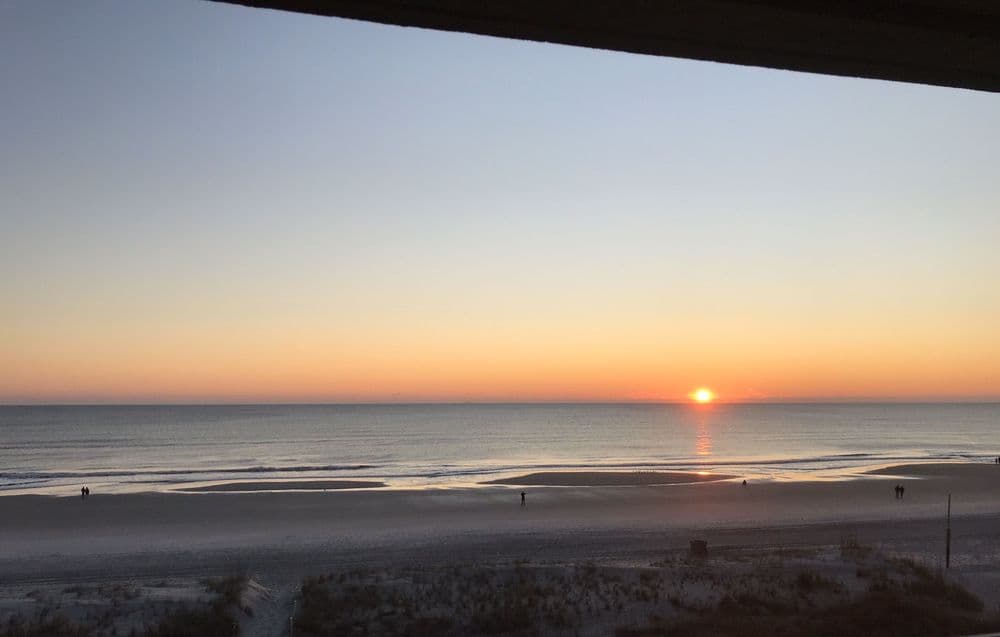 Beach Front At Juno
