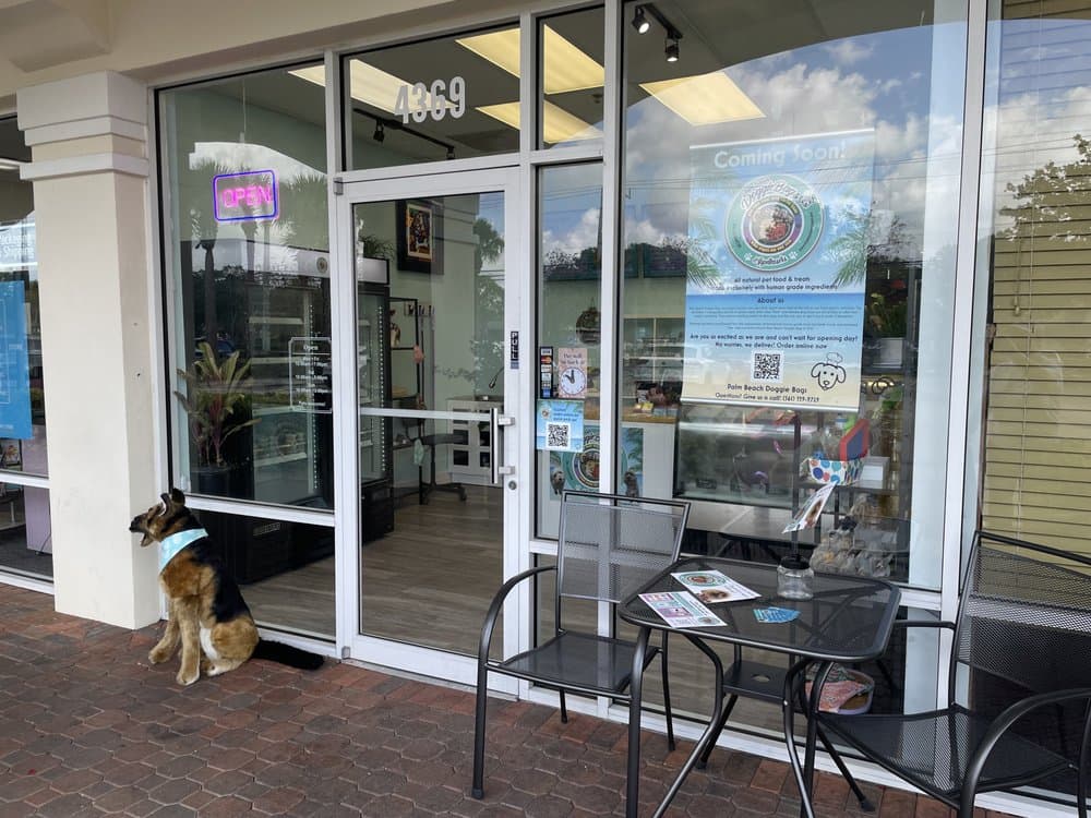 Palm Beach Doggie Bags