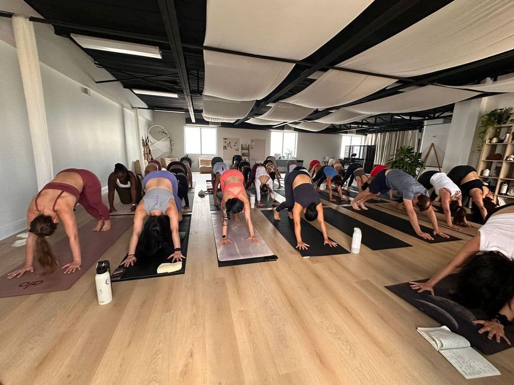 Yoga Moth