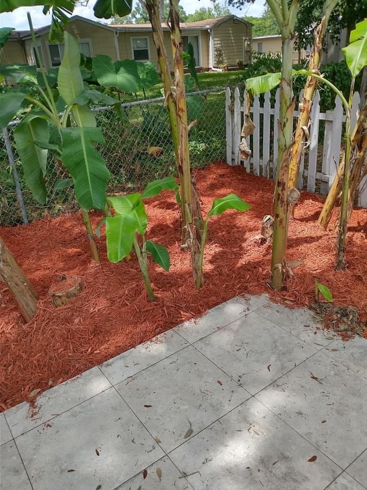 TD Lawn Maintenance