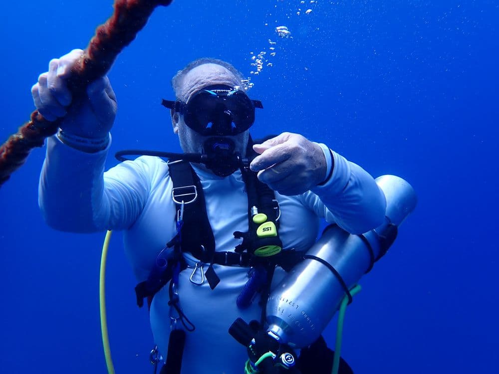 BluWave Divers