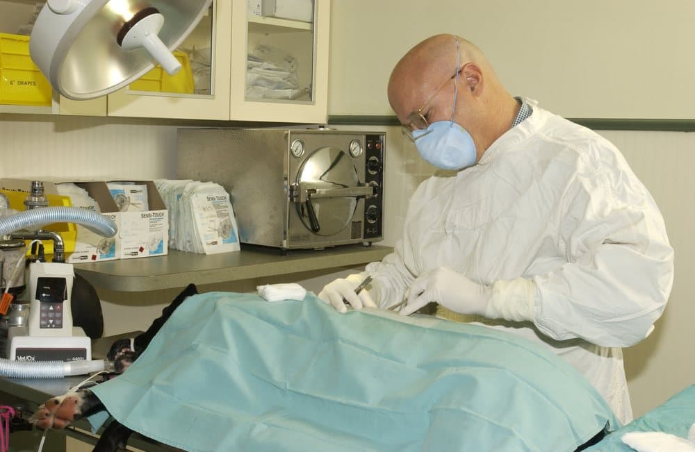 Coral Gables Animal Hospital