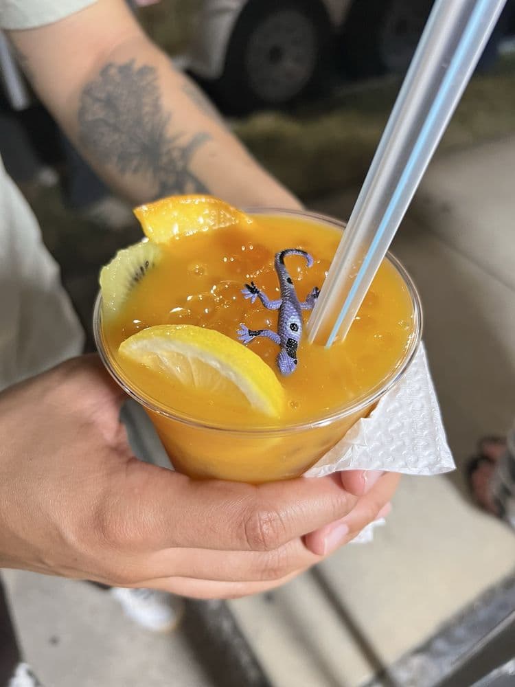 The Tea Lizard