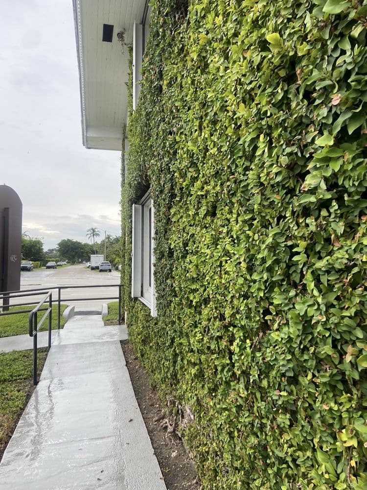 South Florida Dental Arts
