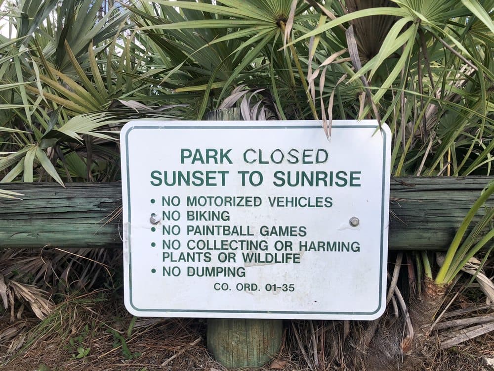 Pine Shore Pineland Preserve