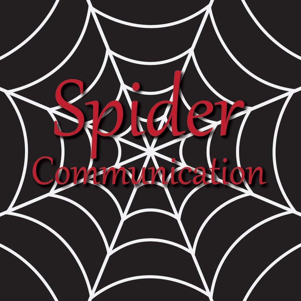 Spider Communication