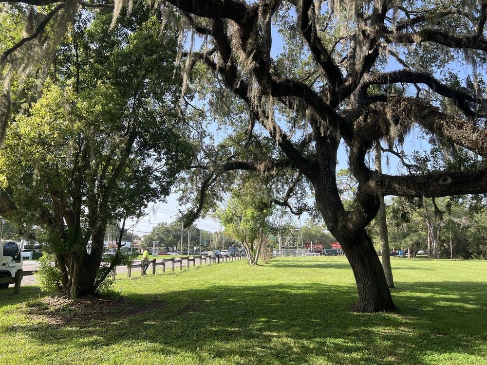 Hamner Tower Park
