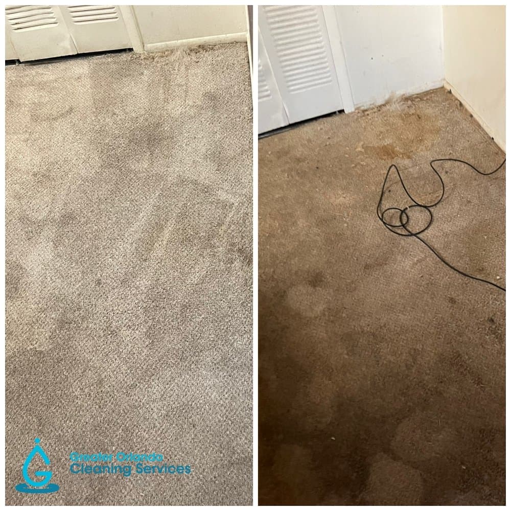 Greater Orlando Cleaning Services