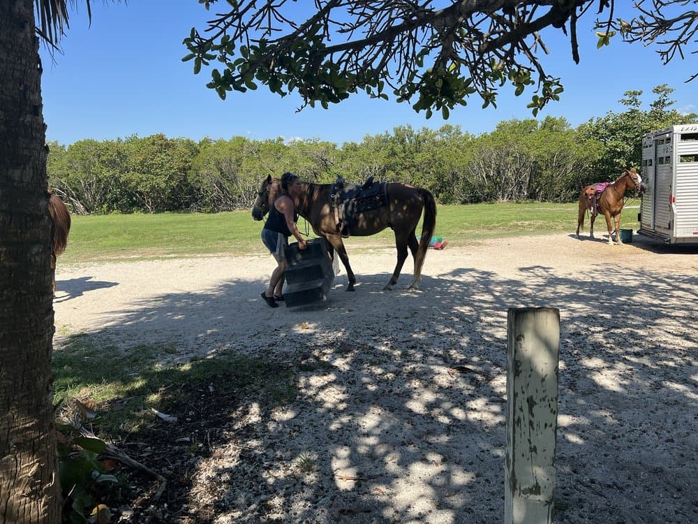 Ride the Beach on Horse Back