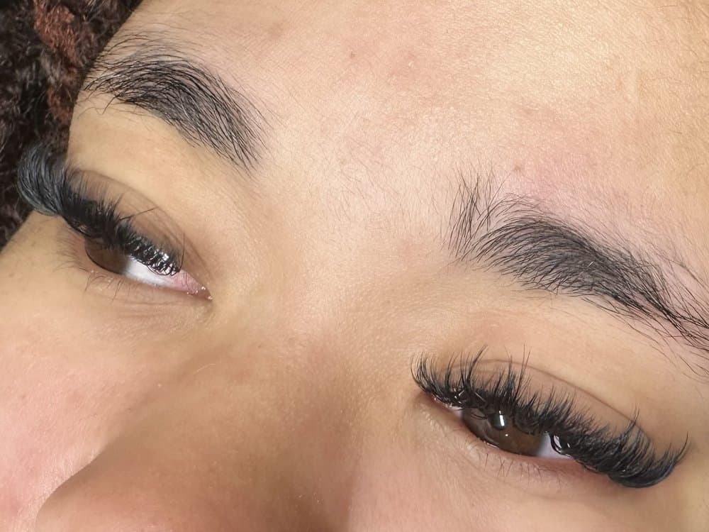 Zylash Beauty