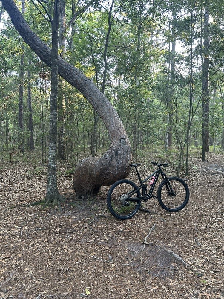 Trek Bicycle Jacksonville Lakeshore