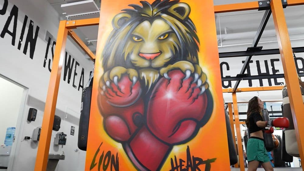 Lion heart boxing gym
