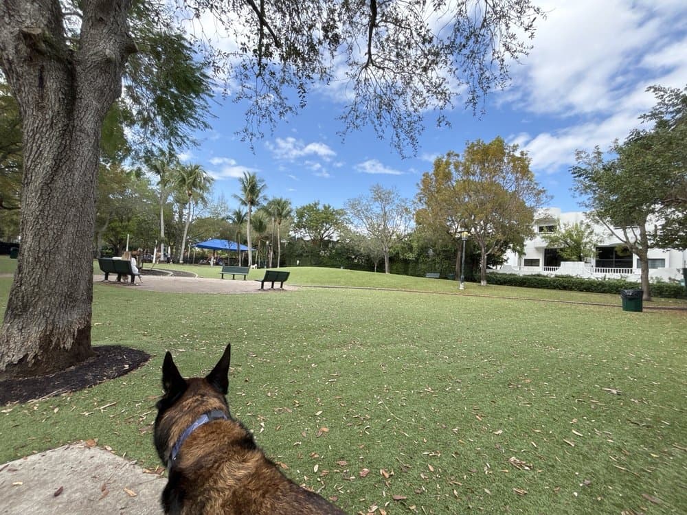 Blanche Park