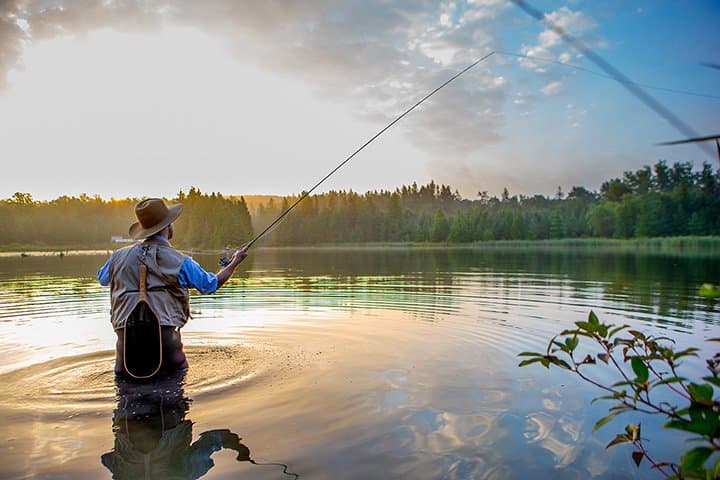 JVille Baits