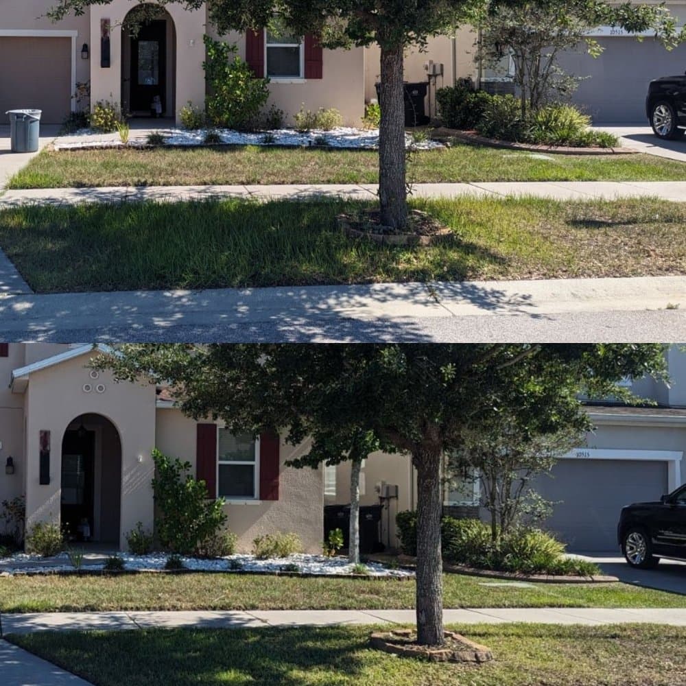 Meekus Mowing