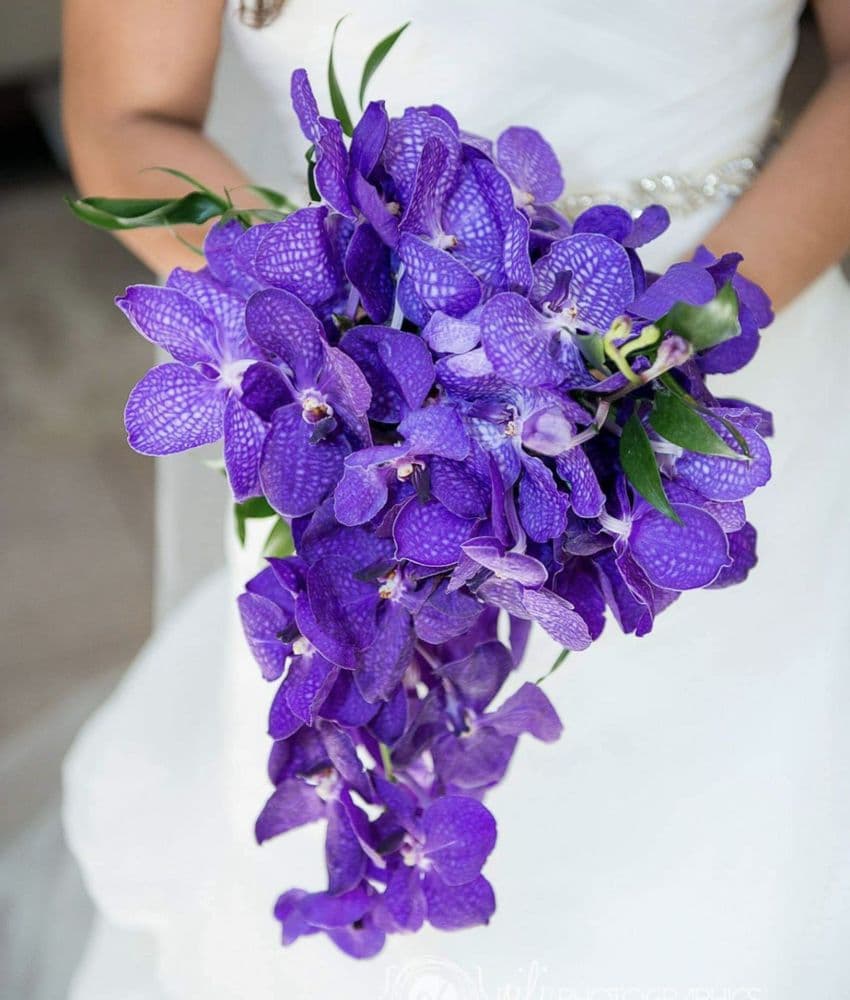 Natural Orchids Boutique