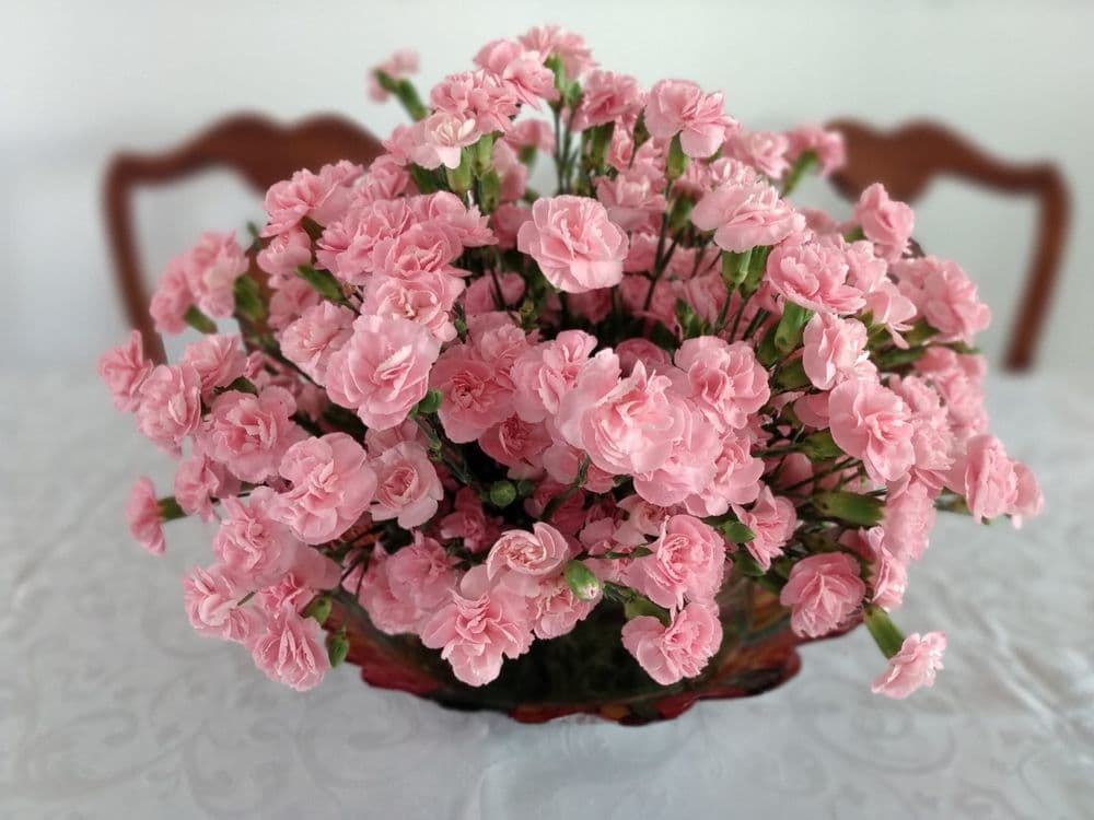 JM Express Flowers