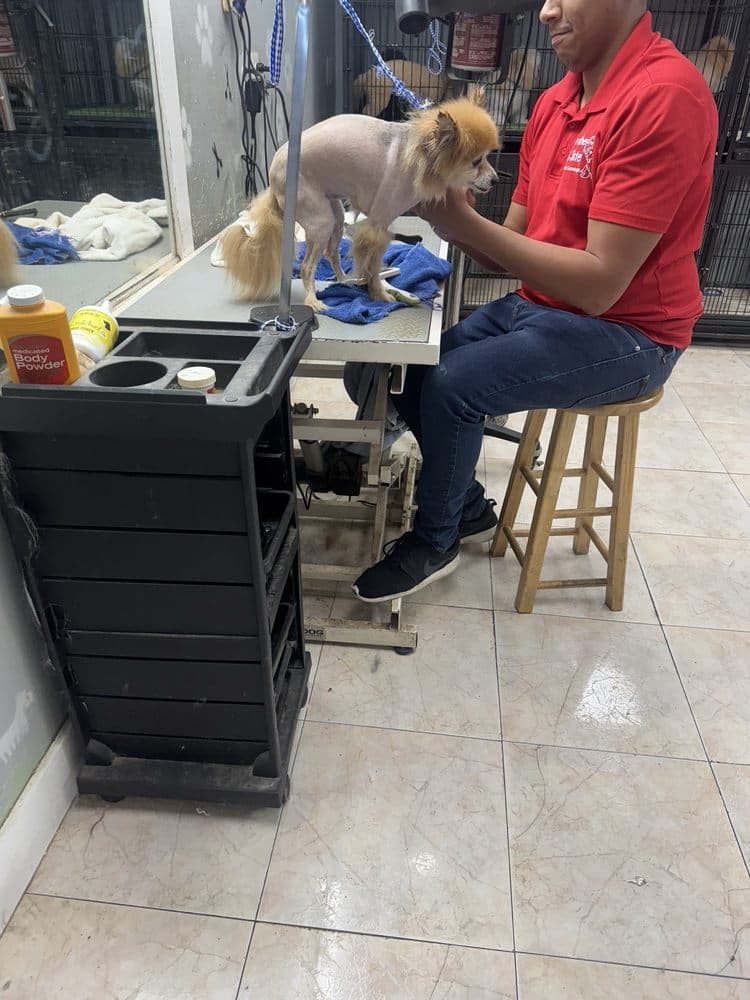 Brother & Sister Pet Shop & Grooming