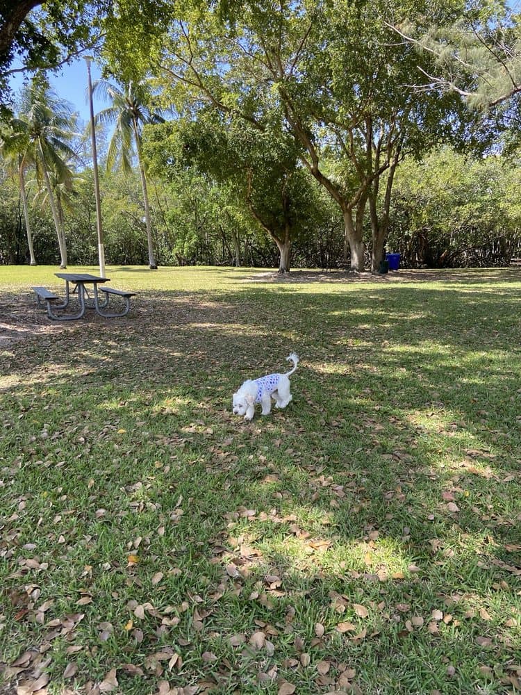 David T. Kennedy Park