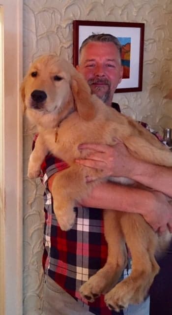 Four Paws Sake Pet Sitting & Dog Walking