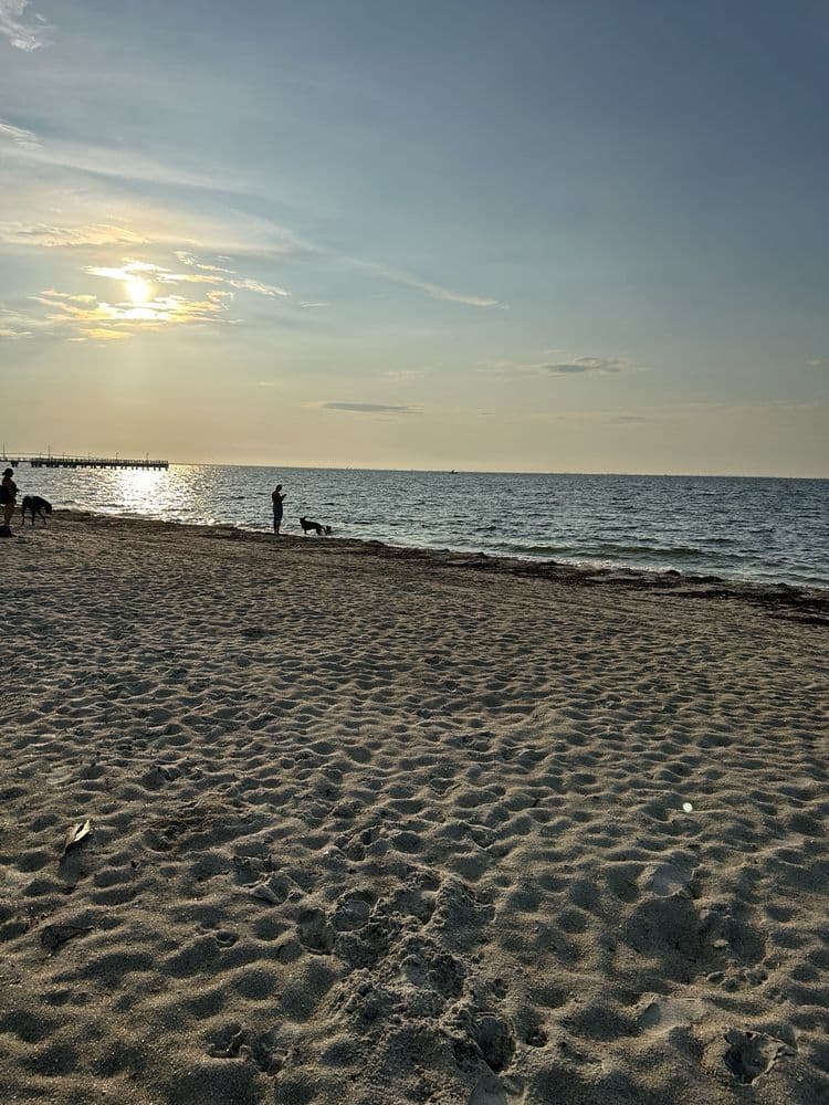 Fort Desoto Dog Beach