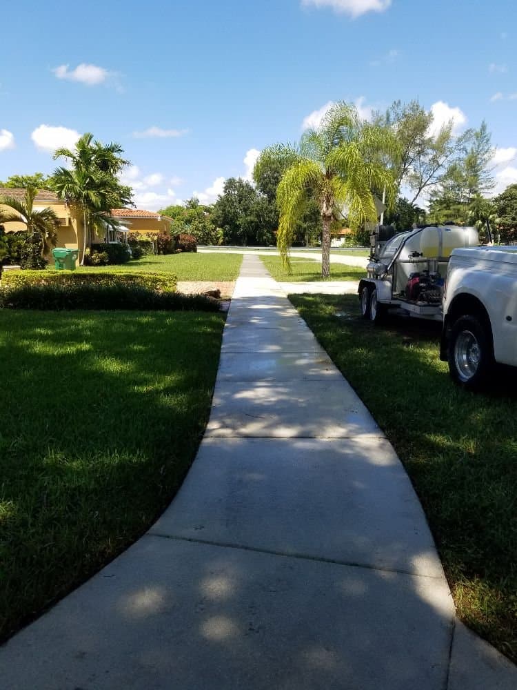 Joel Pressure Cleaning & Painting Services